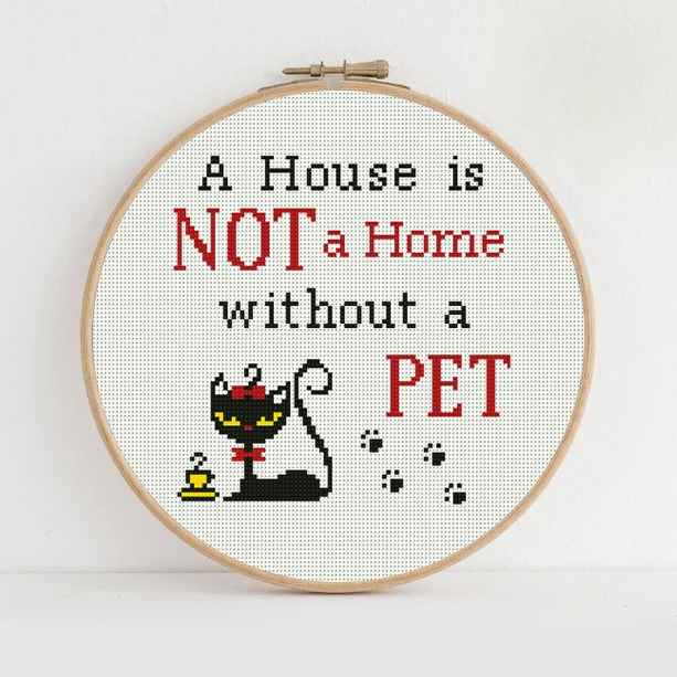 Home without a pet image_1