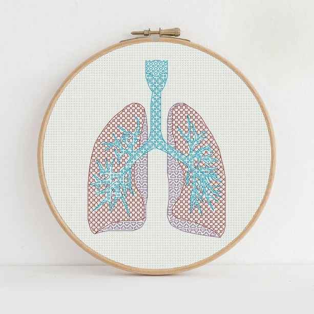 Lungs image 1